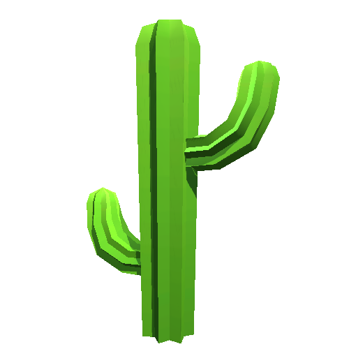 Cactus 03